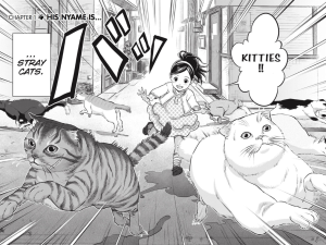 Nyankees #1 • Atsushi Okada