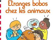 Télécharger Sami Julie Etranges bobos chez animaux (French Edition) (Sandra Lebrun Loïc Audrain) Francais
