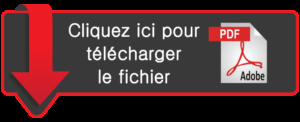 Télécharger ECONOMIE FRANCAISE 2011 (IN INSEE) (French Edition) (INSEE) PDF