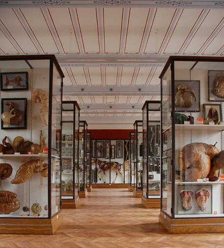 Le musée Fragonard