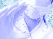 ANTIBIOTIQUES L’autre façon d'avoir peau bactérie