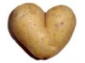 resto qu'il faut (cela vaut aussi pour Saint-Valentin).