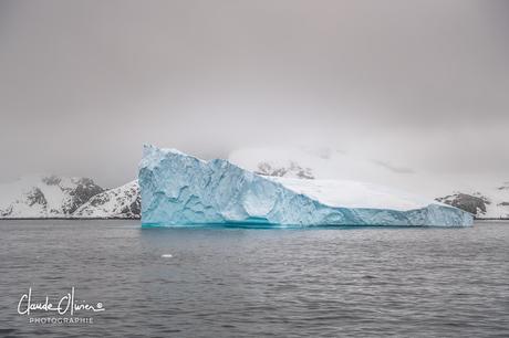 L'aventure merveilleuse en Antarctique ! Partie 4: Arrivée en Antarctique et les Shetlands du Sud !