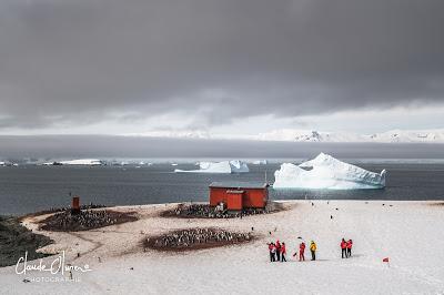 L'aventure merveilleuse en Antarctique ! Partie 4: Arrivée en Antarctique et les Shetlands du Sud !