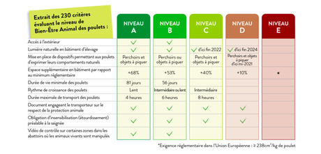 Un nouvel étiquetage « bien-être » pour le poulet