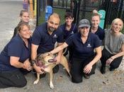 Bière artisanale Comment Ellen compagnie bière réuni chien disparu propriétaire Malt