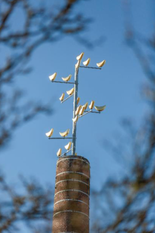 ZEN FACTORY : L’art et l’immobilier se rencontrent à Lot