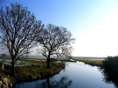 du blanc qui reste sur le papier