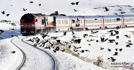 du blanc qui reste sur le papier