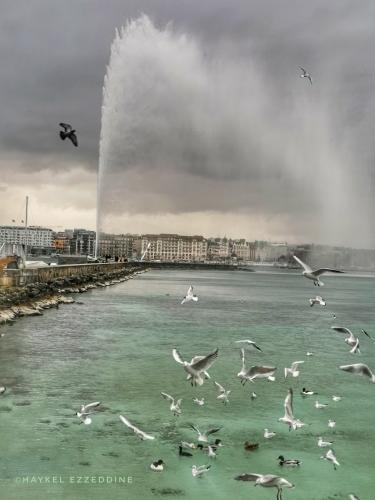 Ah le Jet d'eau! 10.jpg