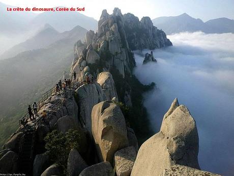 Divers - Curiosités dans le Monde