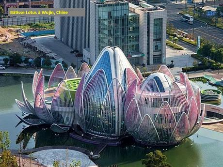 Divers - Curiosités dans le Monde