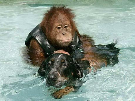 Divers - Beau comme tout - 1