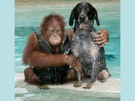 Divers - Beau comme tout - 1