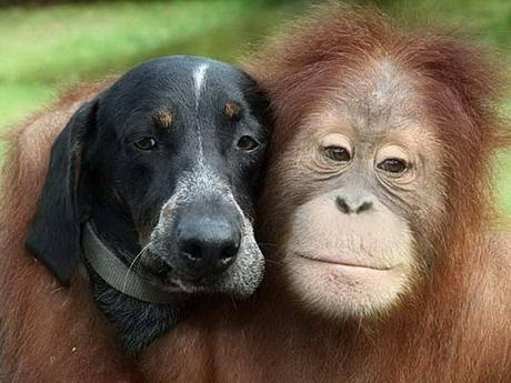 Divers - Beau comme tout - 1