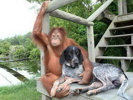 Divers - Beau comme tout - 1