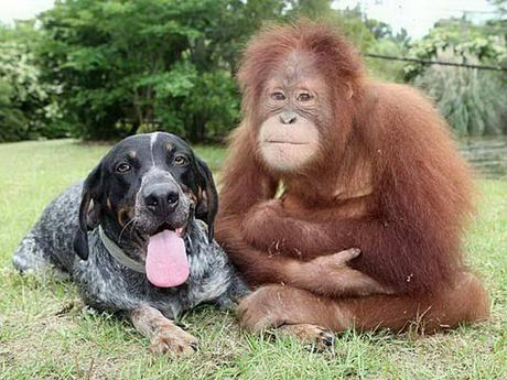 Divers - Beau comme tout - 1