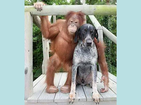 Divers - Beau comme tout - 1