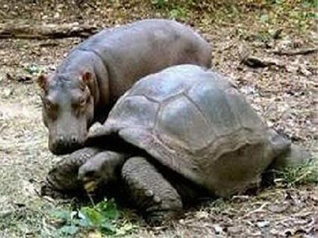 Divers - Beau comme tout - 2