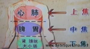 Le point Zhi Gou du méridien du Trois Foyers (6TF)