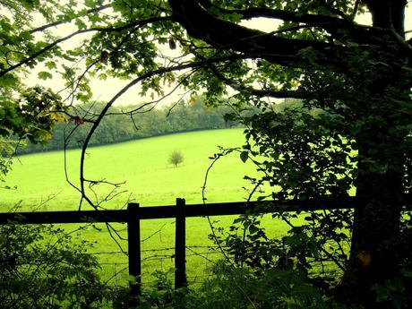 7 au 10 mai 2020 à BEAUMOT-LA-FERRIERE: Séminaire d'étude J. Krishnamurti 7 au 10 mai 2020 à BEAUMOT-LA-FERRIERE: Séminaire d'étude J. Krishnamurti