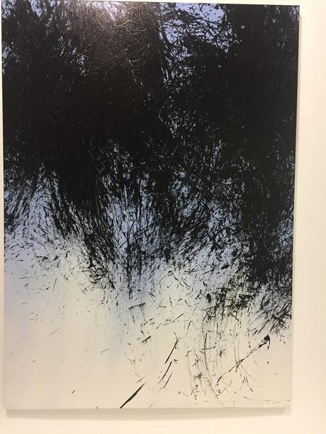 Exposition rétrospective Hans Hartung au Musée d'Art Moderne de Paris (3) IMG_9474