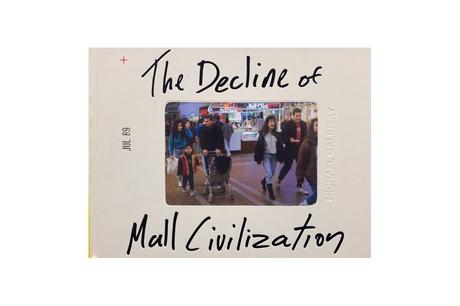 MICHAEL GALINSKY – THE DECLINE OF MALL CIVILIZATION