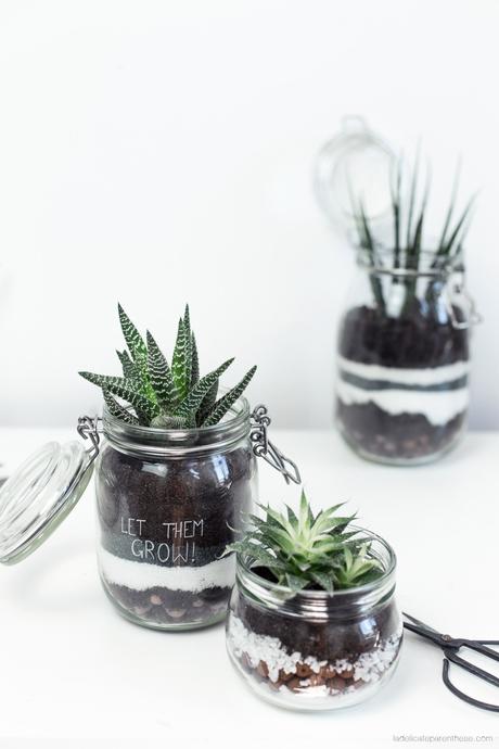 DIY terrarium décoration intérieure plante grasse