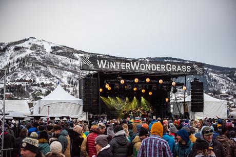 WinterWonderGrass