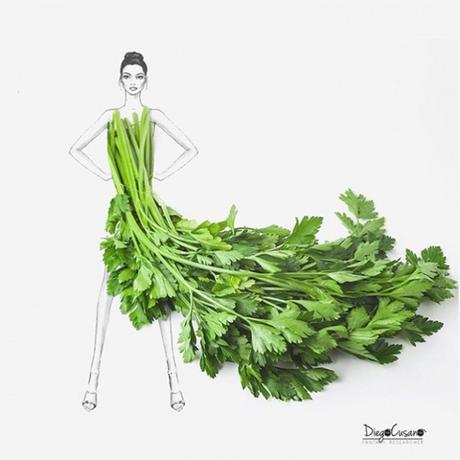 Les illustrations végétales de Diego Cusano