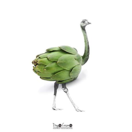 Les illustrations végétales de Diego Cusano
