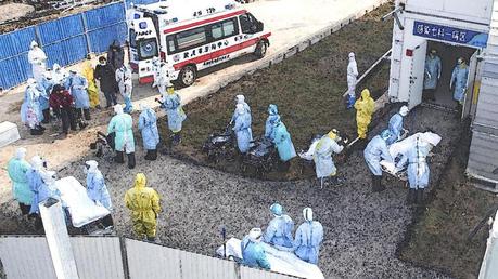 Les frontières nationales arrêteront-elles le coronavirus ? Les frontières nationales arrêteront-elles le coronavirus ?