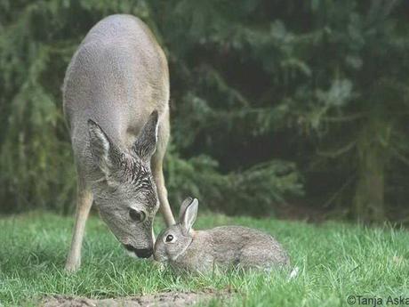Divers - Beau comme tout - 4