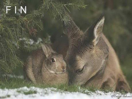 Divers - Beau comme tout - 4