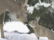 Divers Beau comme tout