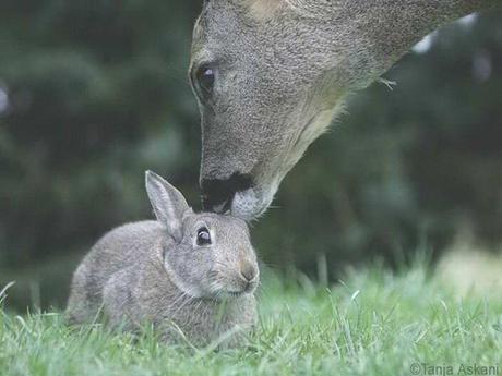 Divers - Beau comme tout - 4