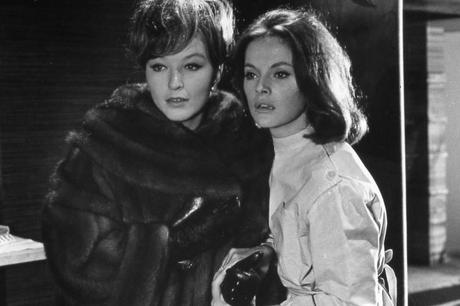 Les_bonnes_causes_Virna_Lisi