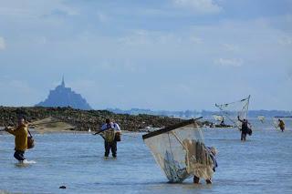 Le Camping Les Îles à Hudimesnil dans la Manche