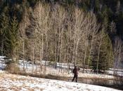 Interlude Promenade autour d'un près chez