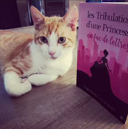 [EP. 1/8] – Les Tribulations d’une Princesse… EN FAC DE LETTRES