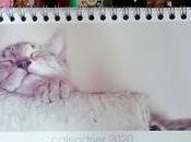 J'ai testé calendrier bureau personnalisable MYFUJIFILM!