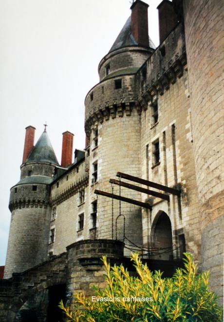 Balade en Touraine, le pays des châteaux