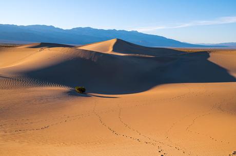 sand dunes death valley