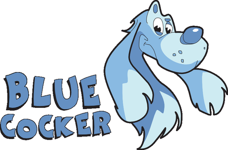 Test de Welcome To New Las Vegas de Benoit Turpin et Alexis Allard chez Blue Cocker