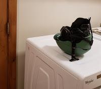 Mieux : Le bon casque et les bons gants !