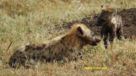 Pays Etranger - La Tanzanie - 1