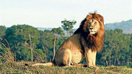 Pays Etranger - La Tanzanie - 1