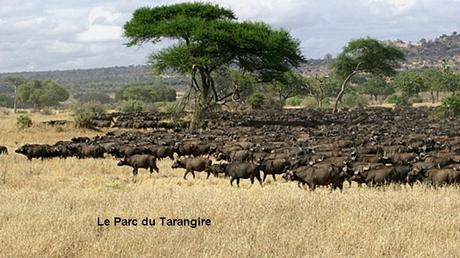 Pays Etranger - La Tanzanie - 1