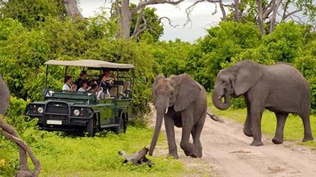 Pays Etranger - La Tanzanie - 1