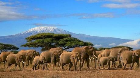 Pays Etranger - La Tanzanie - 1